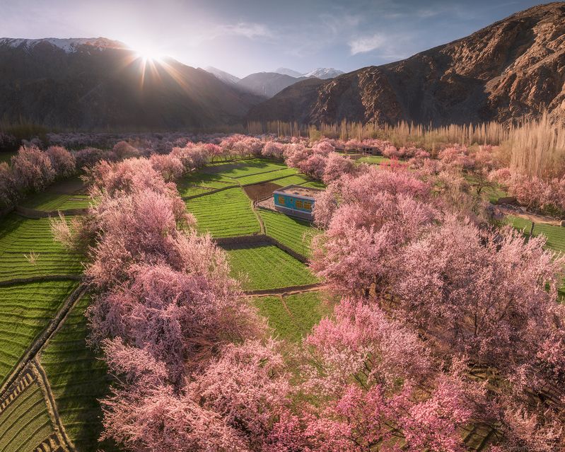 Pakistan фото превью
