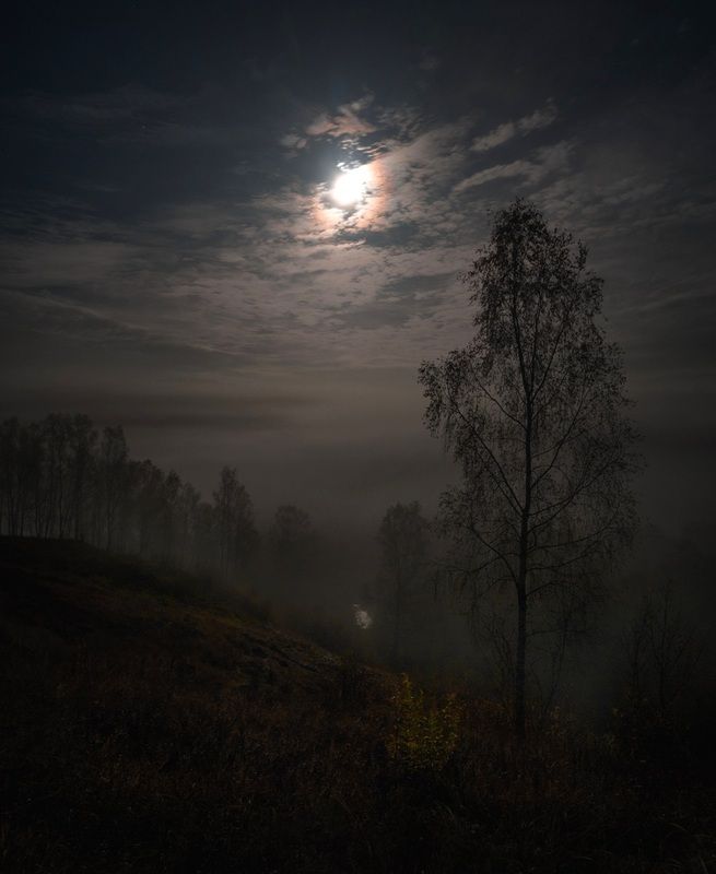 *** фото превью