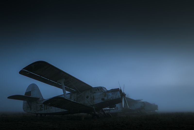 2025-01-22 фото превью