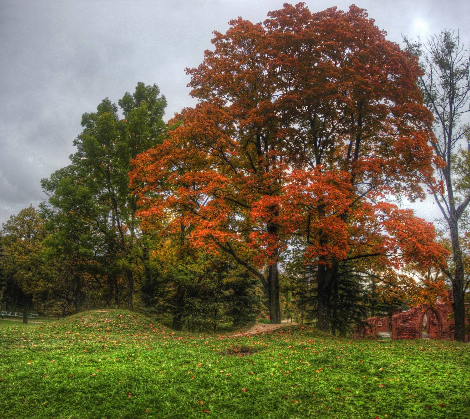 , Сергей Григорьев