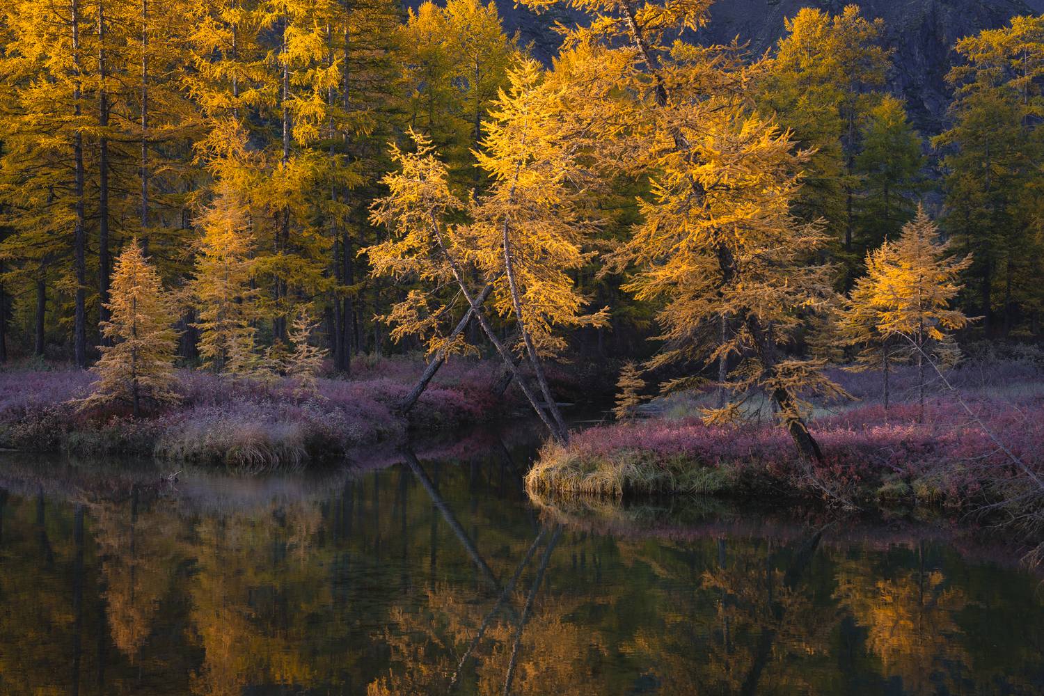 озеро джека лондона, озеро невидимка, рассвет, пейзаж, Mikhail Ioannisian