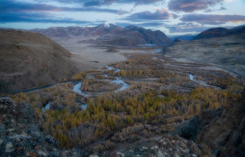 алтай горы лес утро пейзаж красивый лиственница Перед рассветом фото превью