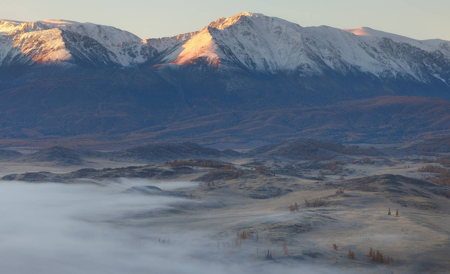 алтай, горный алтай, край, курайская степь, горы, рассвет, туман, степь, Морозов Сергей