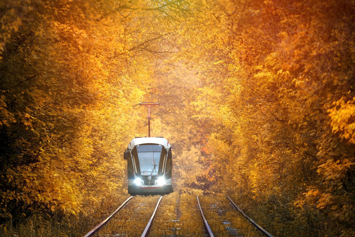 сокольники, москва, трамвай, осень, Кочкин Владимир