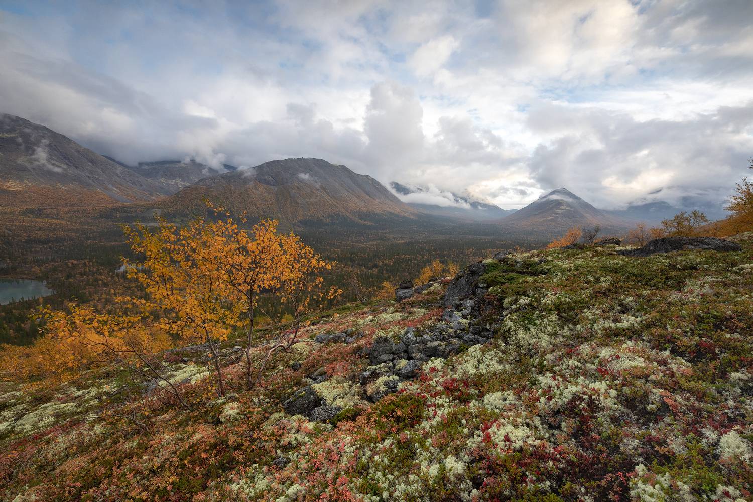 Хибины., Чернов Юрий
