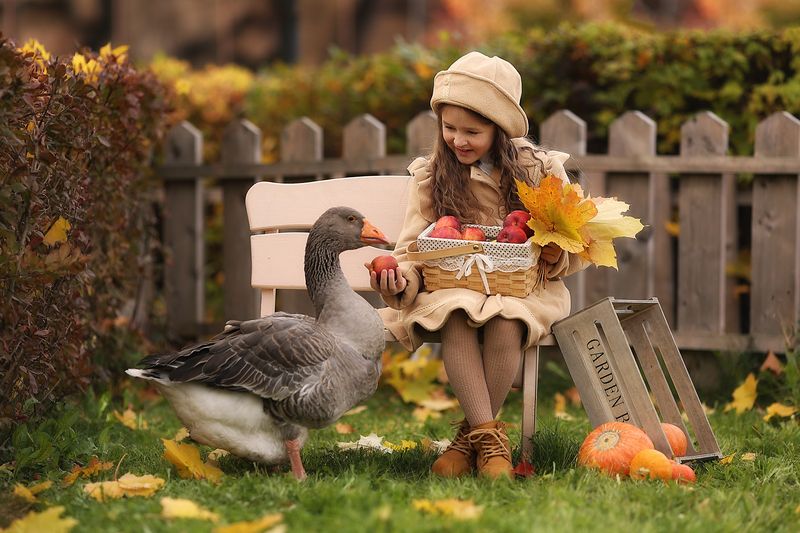 фото превью