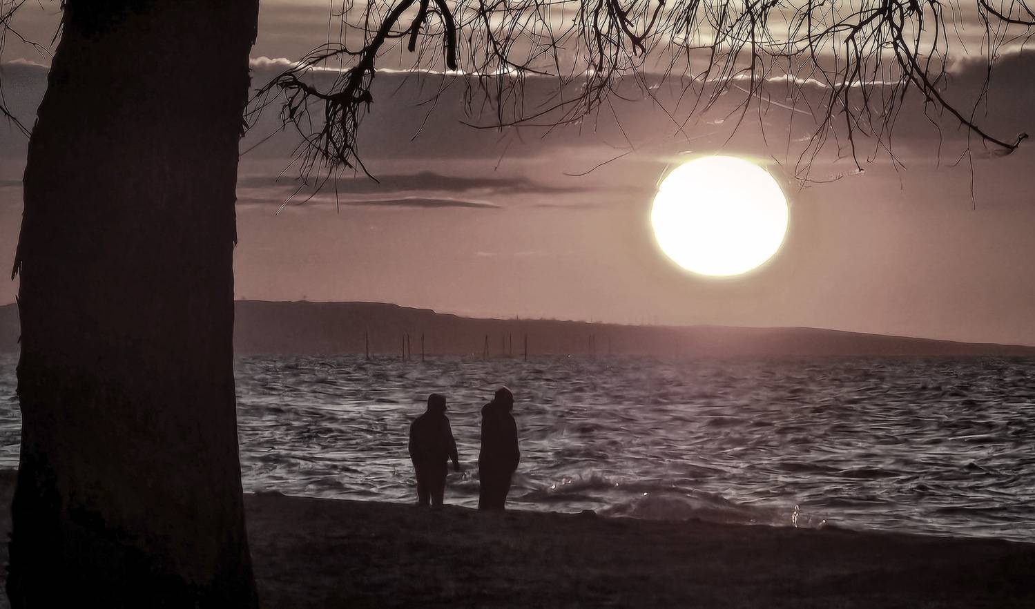 , Пирог Борис