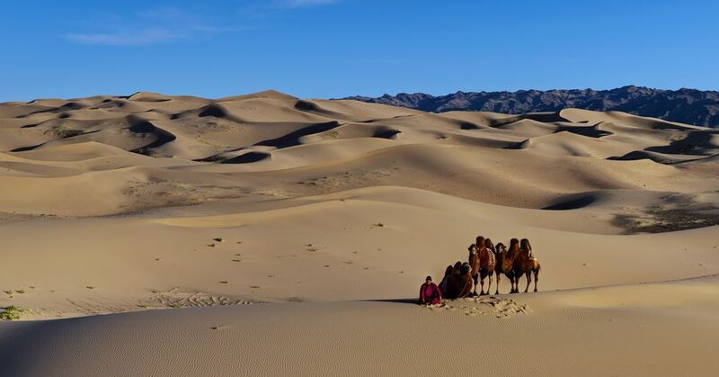 Притомились однако... фото превью