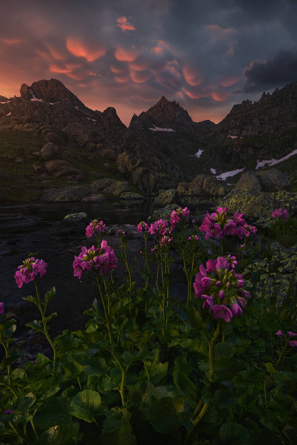 , Бахышев Сафар