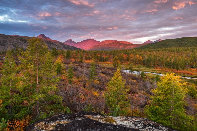 Озеро Джека Лондона  Розовые воспоминания...  фото превью