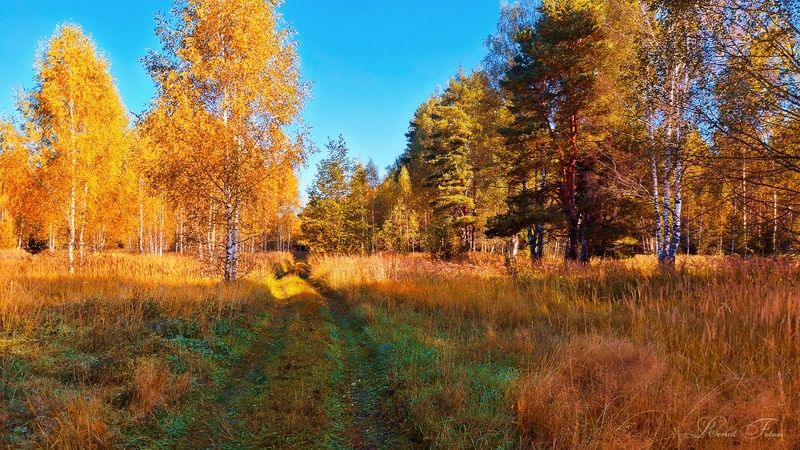 Костромской край. фото превью