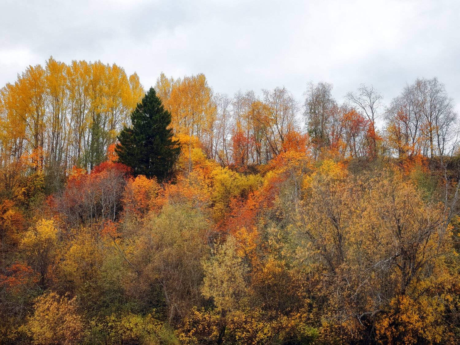 , Александр Титов