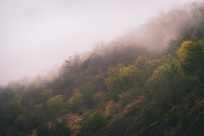 ingushetia autumn, landscape, mountains, fog, forest, Где то в Ингушетии. фото превью