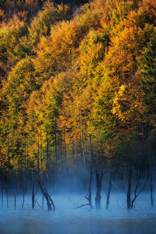 2024 фото превью