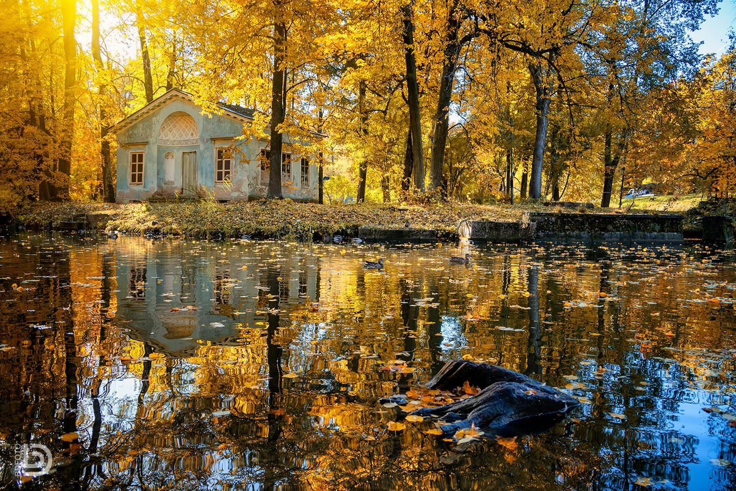 пушкин, осень, Дмитрий Бакулин