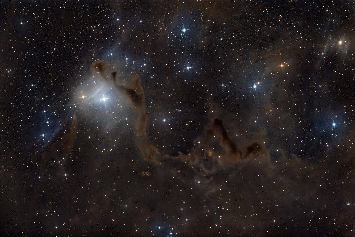 , Поляков Алексей