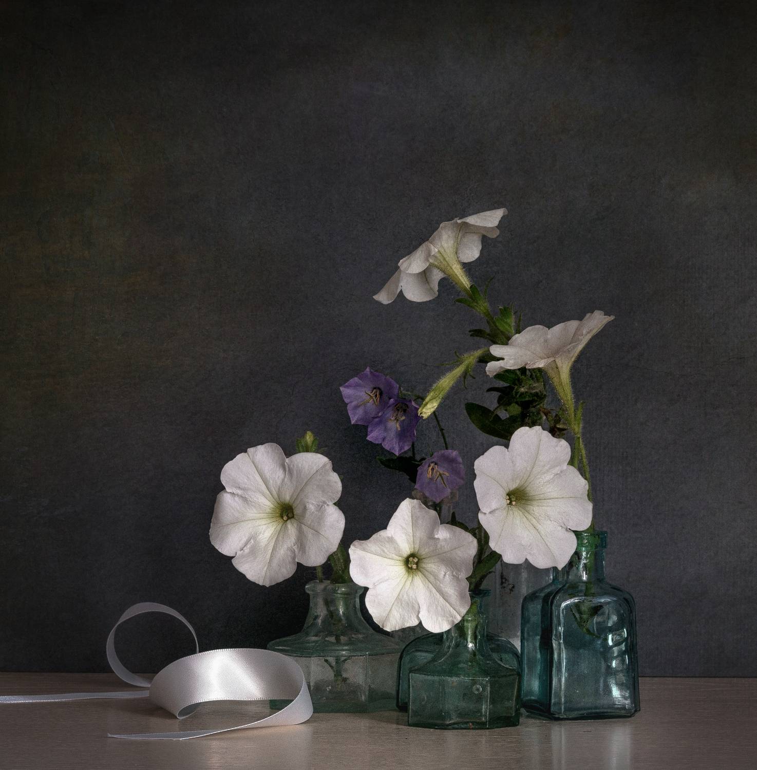 , Viktoriya Shamanova