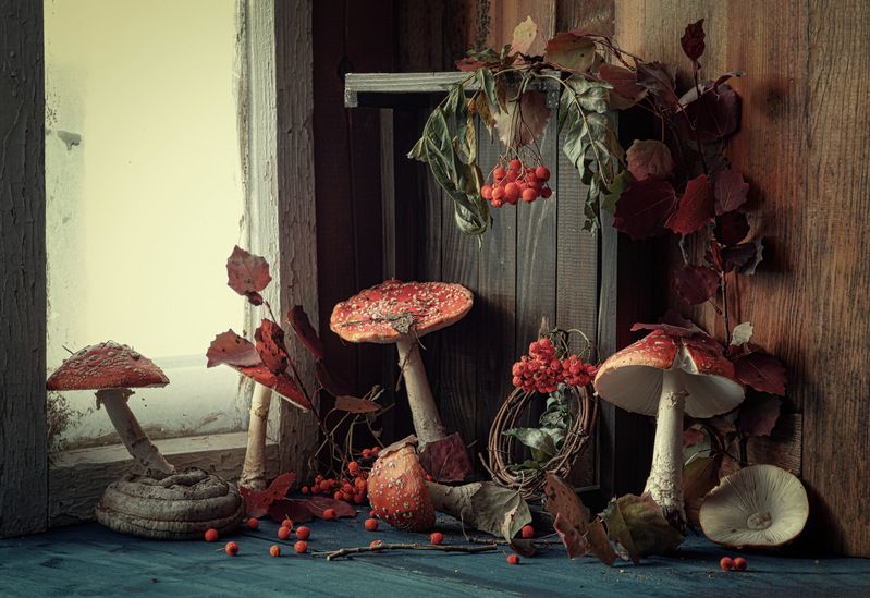 фото превью