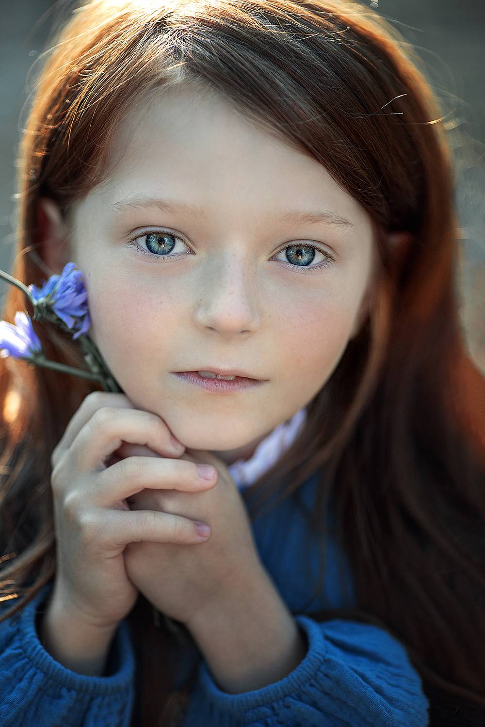 , Солнечный Александр