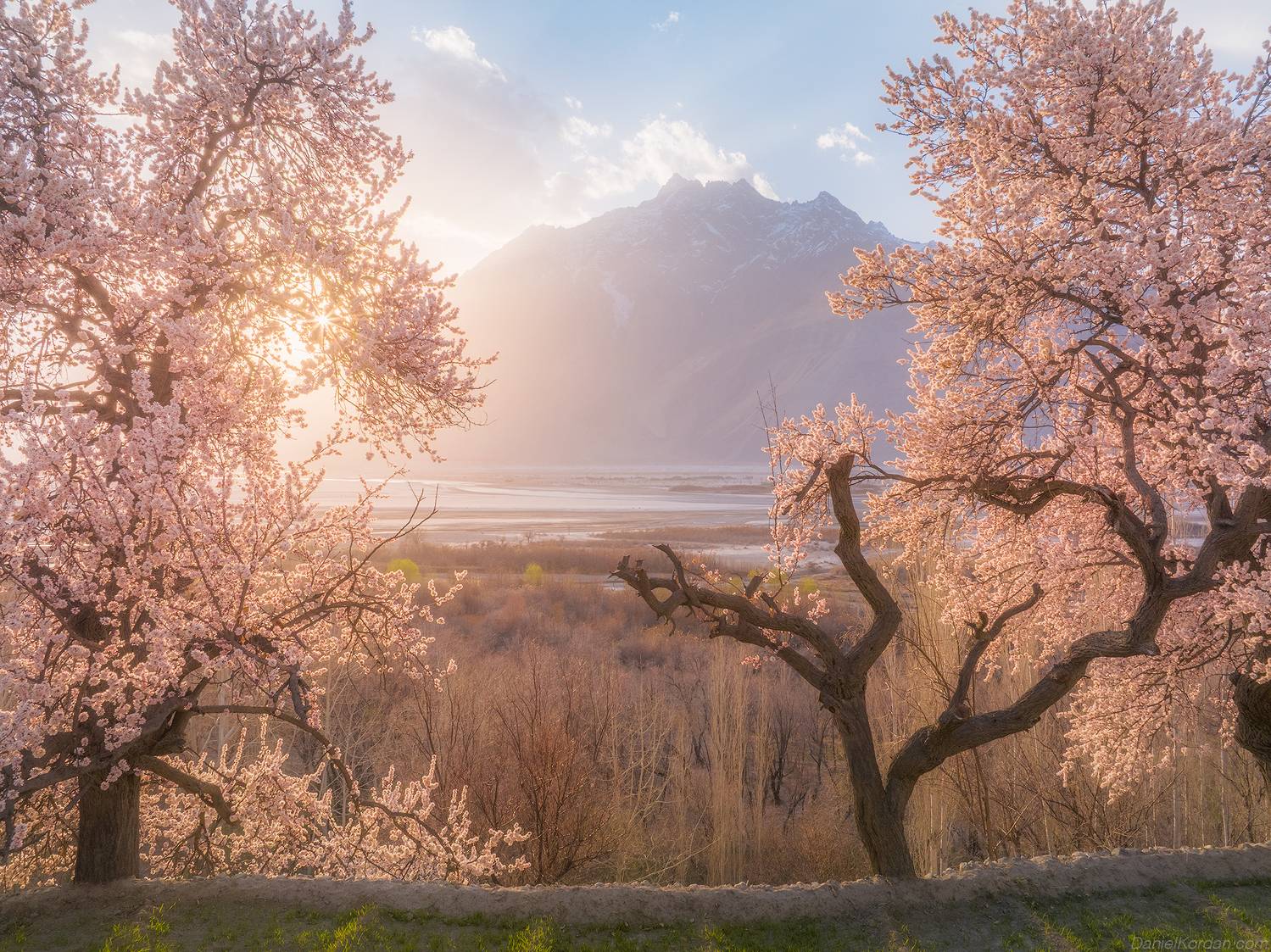 , Даниил Коржонов