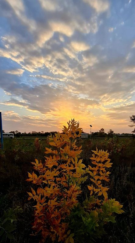 краснодарский край, рассвет, осень октябрь Краски осени фото превью