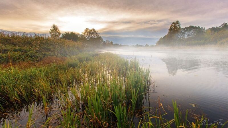 Костромской край: на воде. фото превью