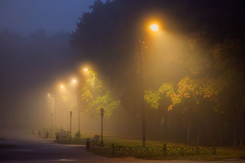 *** фото превью