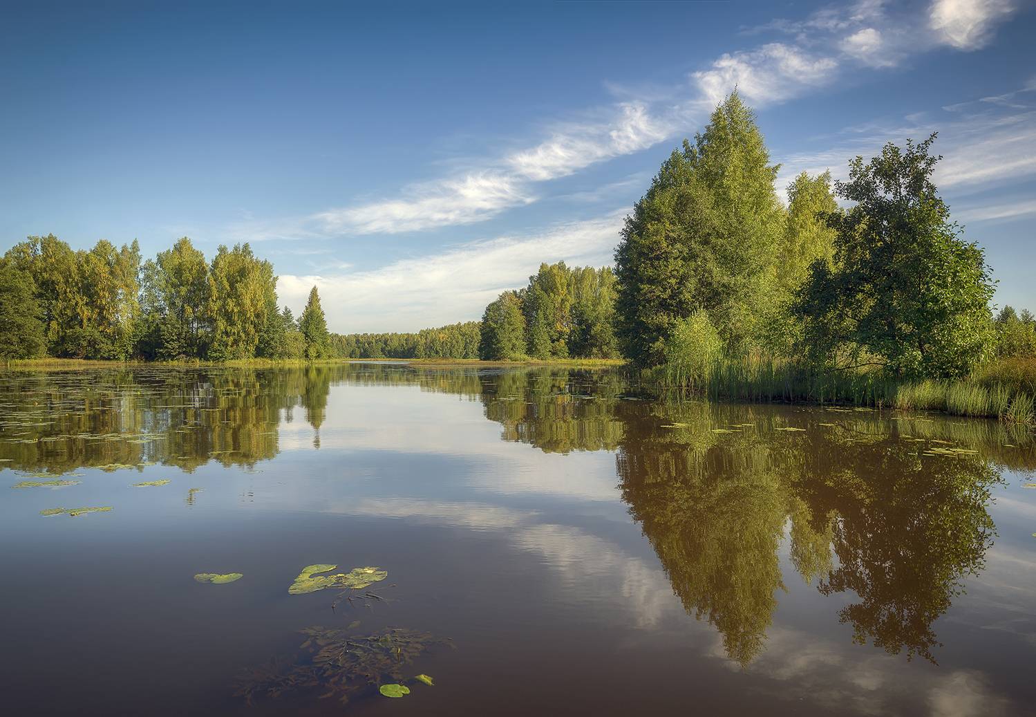 , Сергей Аникин