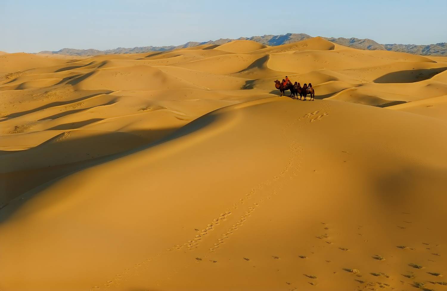 , Игорь Щербаков