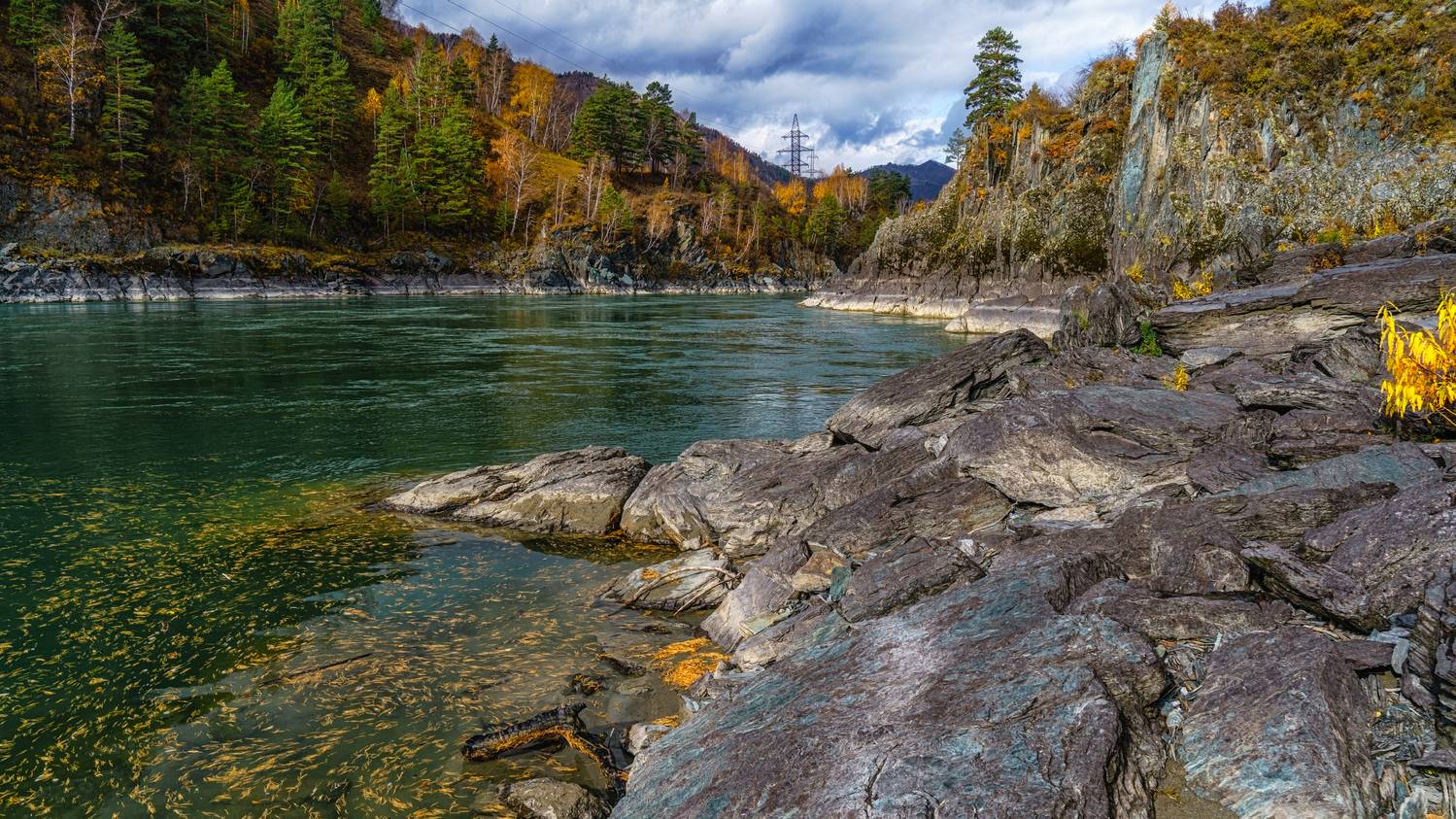 , Шварцман Евгений