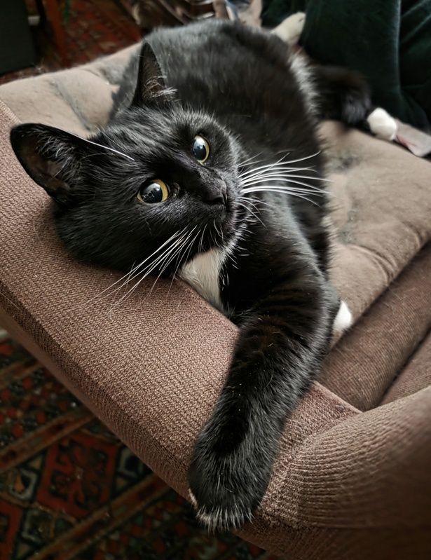 Модель фото превью