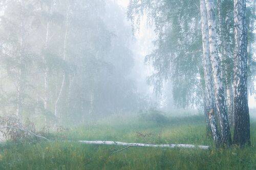 Когда свет еще дышит