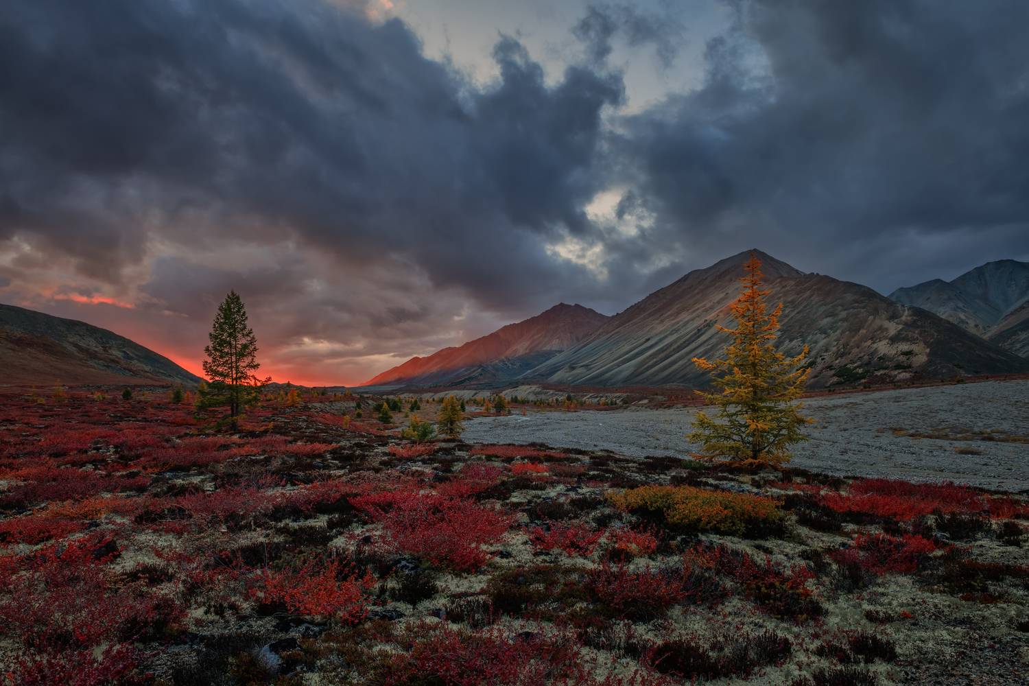 , Евдокимов Максим