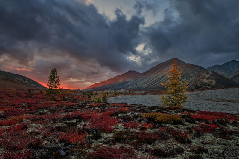 Вечер в красном...  фото превью