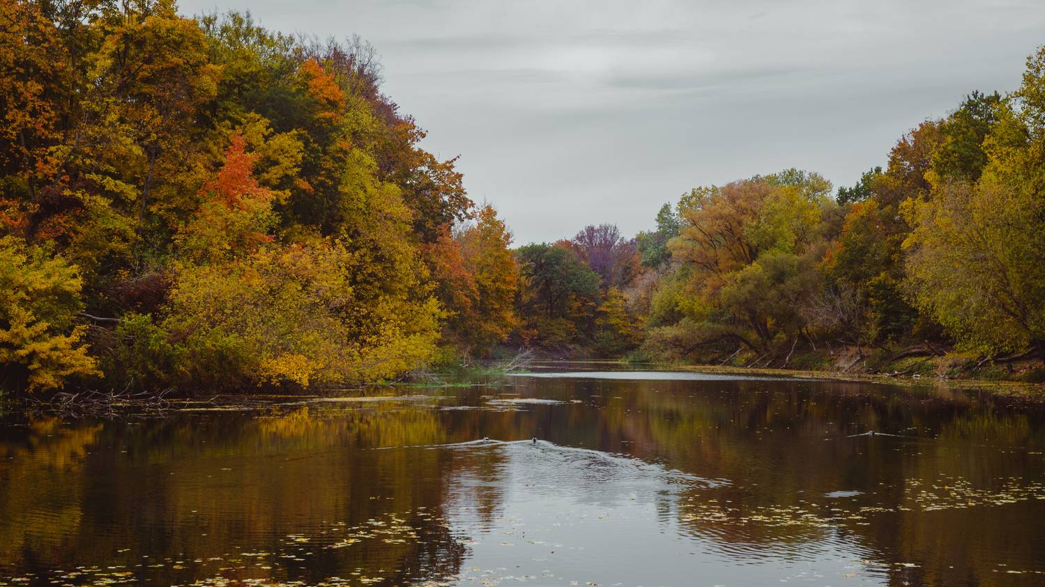, Вертиков Юрий