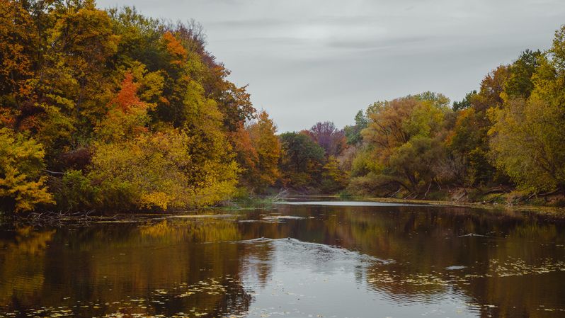 Осень фото превью