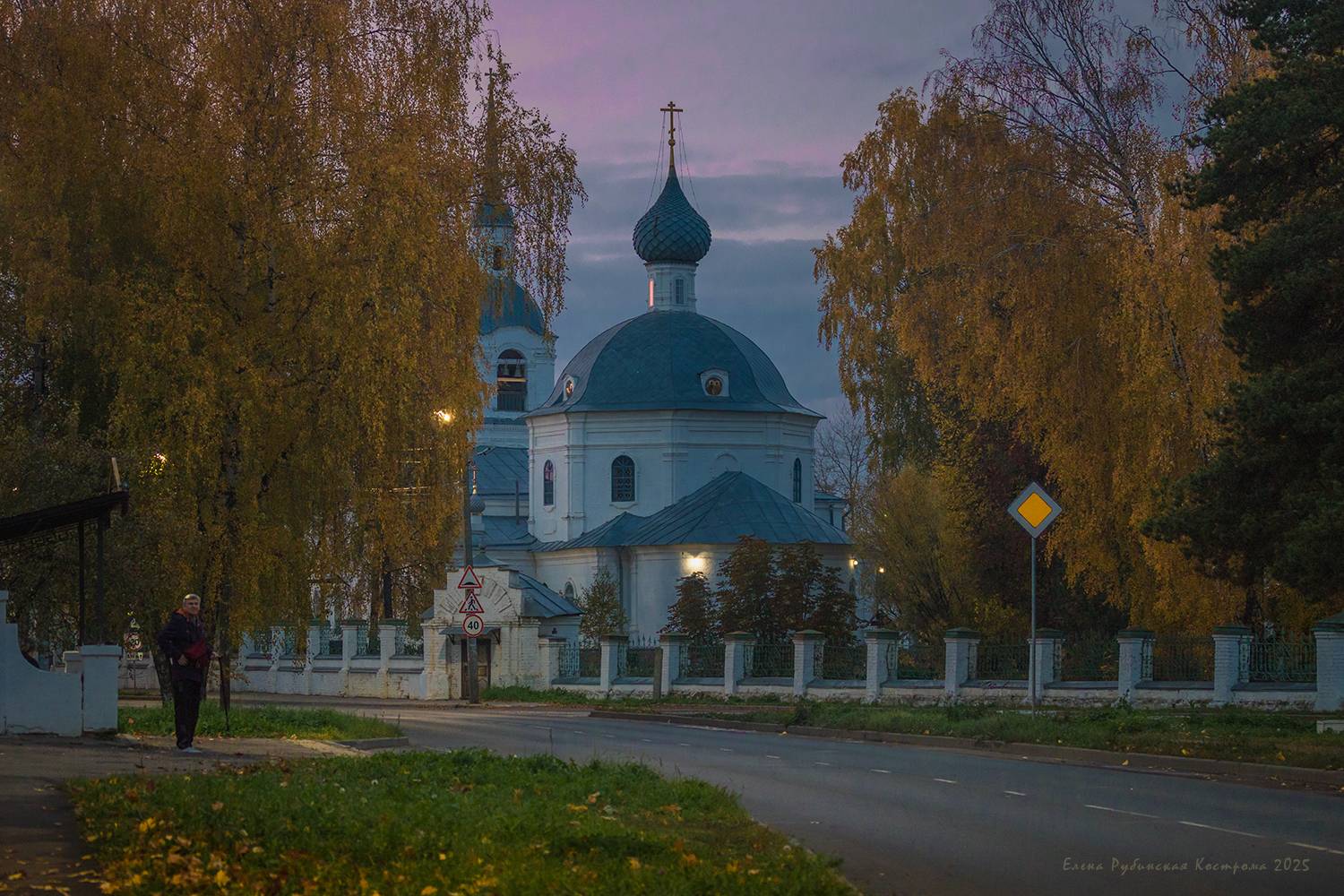 кострома, Елена Рубинская