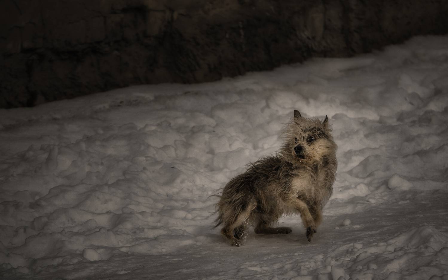 , Олег Дунаев