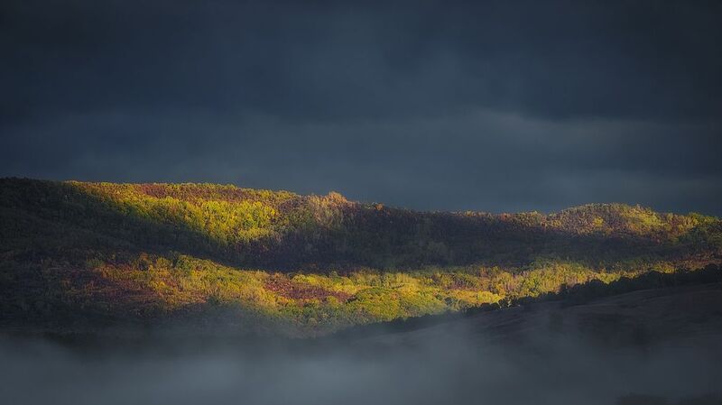 2025 фото превью