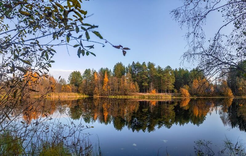 озеро, штиль, отражение, осень. Безветрие. фото превью