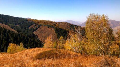Аккорды осени