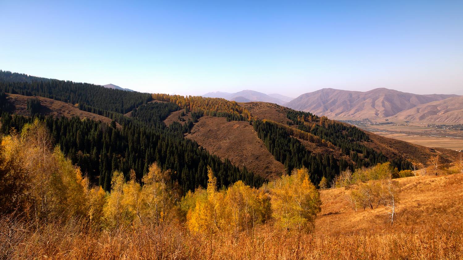 кыргызстан, чон-кемин, Элина Магалимова