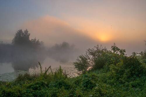 Утро на озере.
