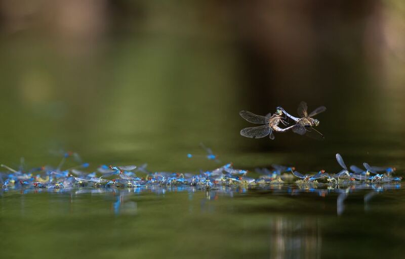 Не вписываются фото превью