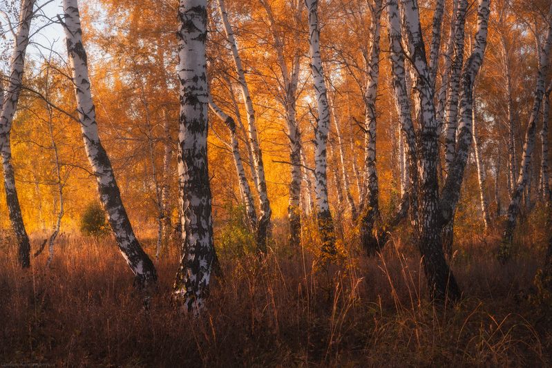 южный урал, золотая осень, башкортостан, башкирия Осень в Башкирии фото превью