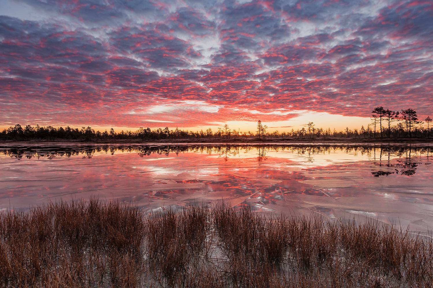 , Абросимов Александр