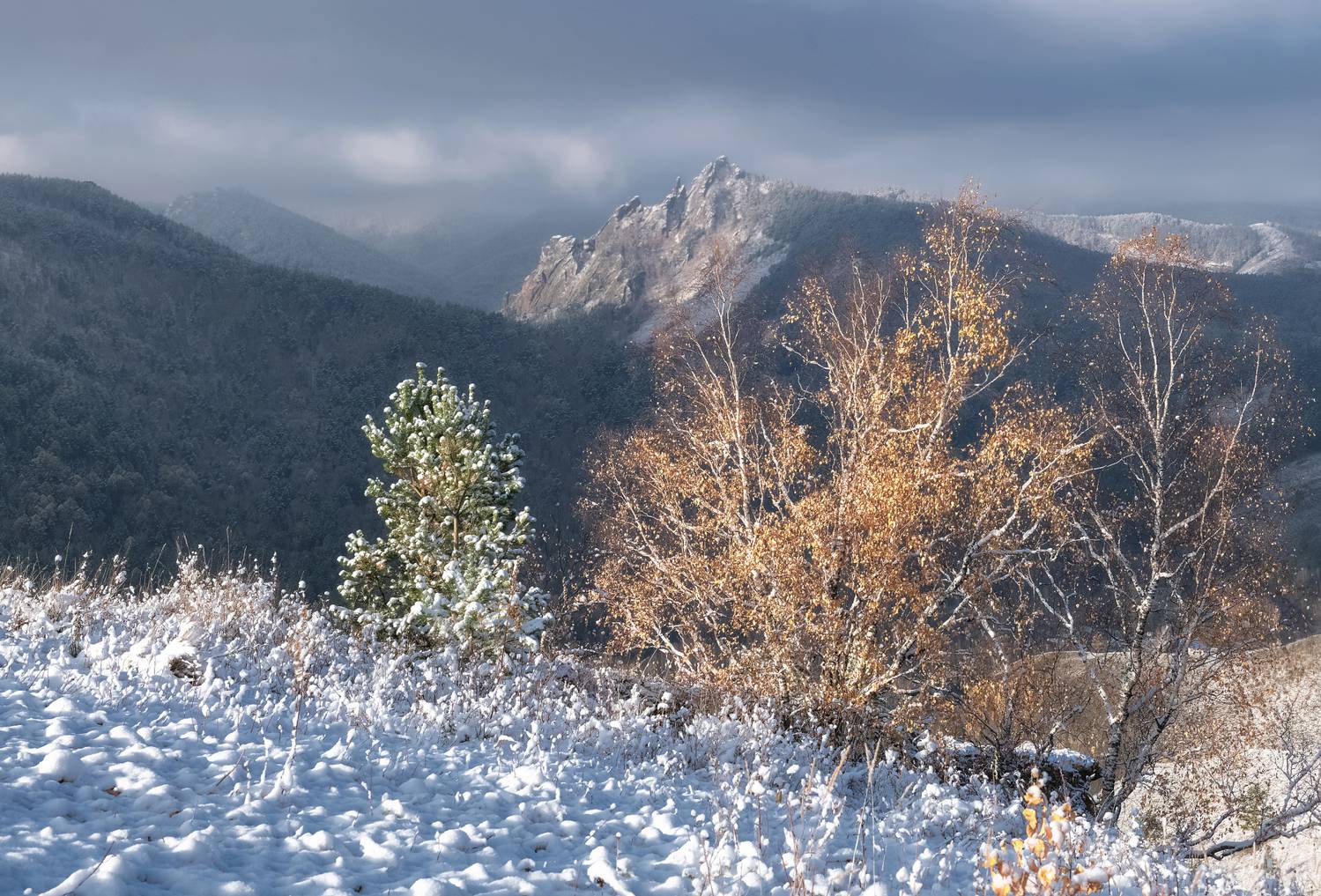 осень, торгашинский хребет. первый снег, желтые листья, осень, Марина Фомина