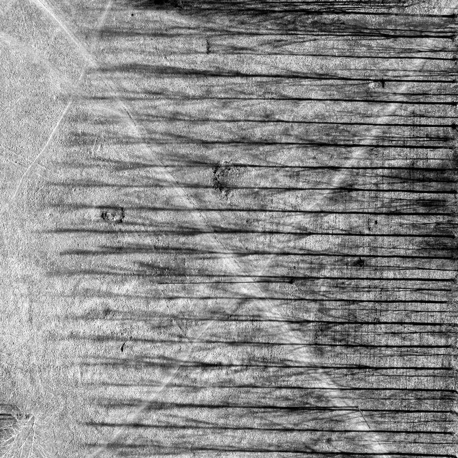 , Абрамов Андрей