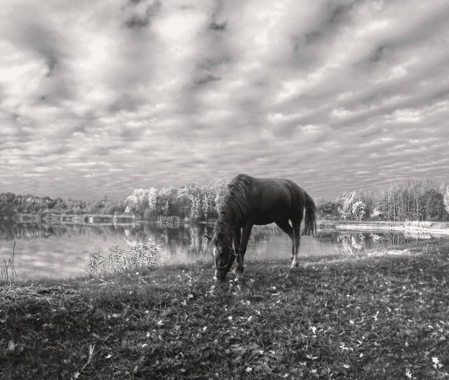 , Сергей Григорьев