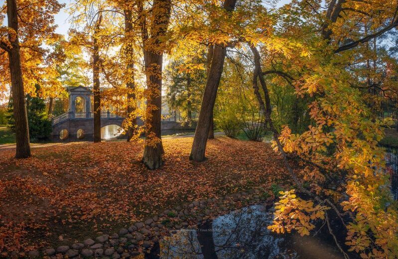 питер, пушкин, царское село, царское,  landscape, tsarskoye selo, autumn,  городской пейзаж, санкт-петербург, рассвет Царское Село - welcome фото превью